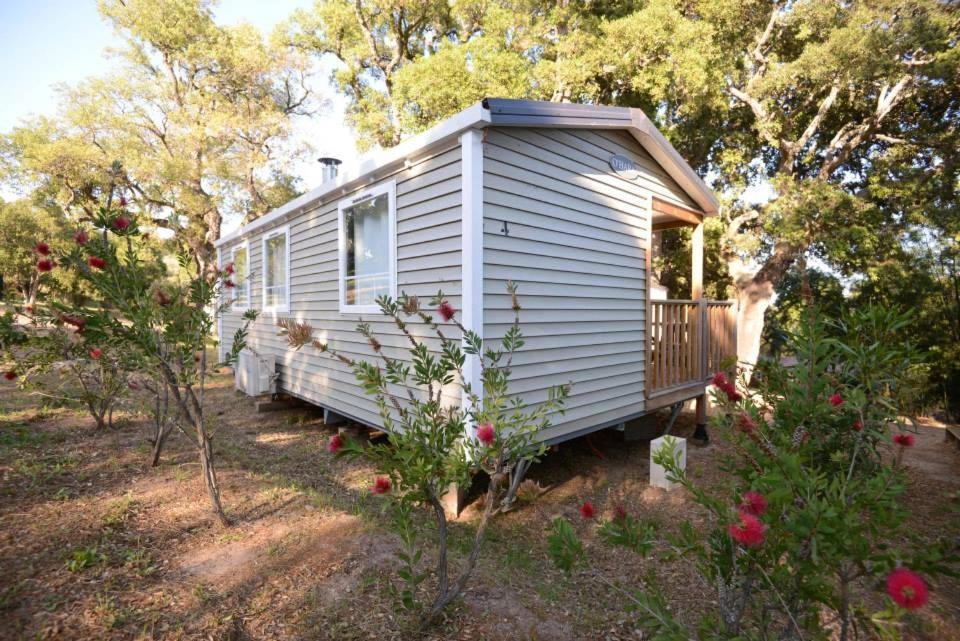Camping La Vetta Porto-Vecchio  Dış mekan fotoğraf