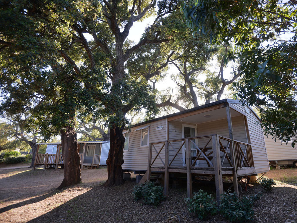 Camping La Vetta Porto-Vecchio  Oda fotoğraf