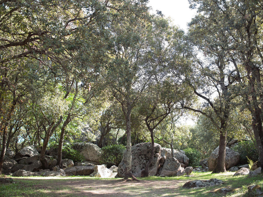 Camping La Vetta Porto-Vecchio  Dış mekan fotoğraf